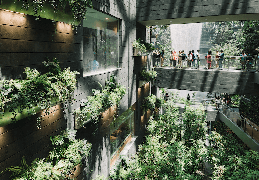 Gérer un écosystème de 30 entreprises pour réduire les émissions de carbone : The 303030 City Climate Challenge | Beci (Chambre de commerce de Bruxelles)